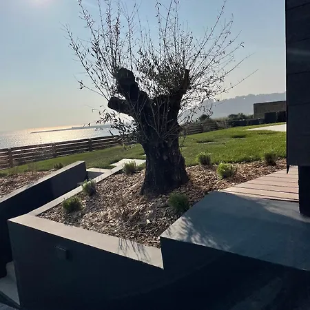 Apartman Architect-designed With Sea View Barneville-Carteret